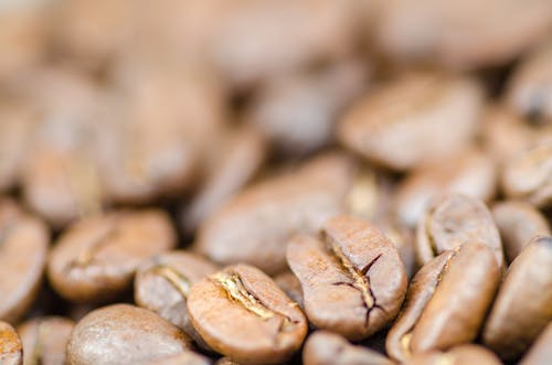 Free Brown Coffee Beans Stock Photo