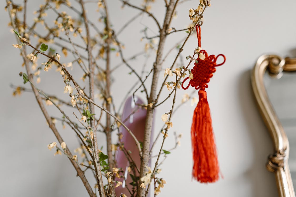 Free Red Chinese knot decoration hanging on a bare branch indoors, symbolizing luck for Chinese New Year. Stock Photo