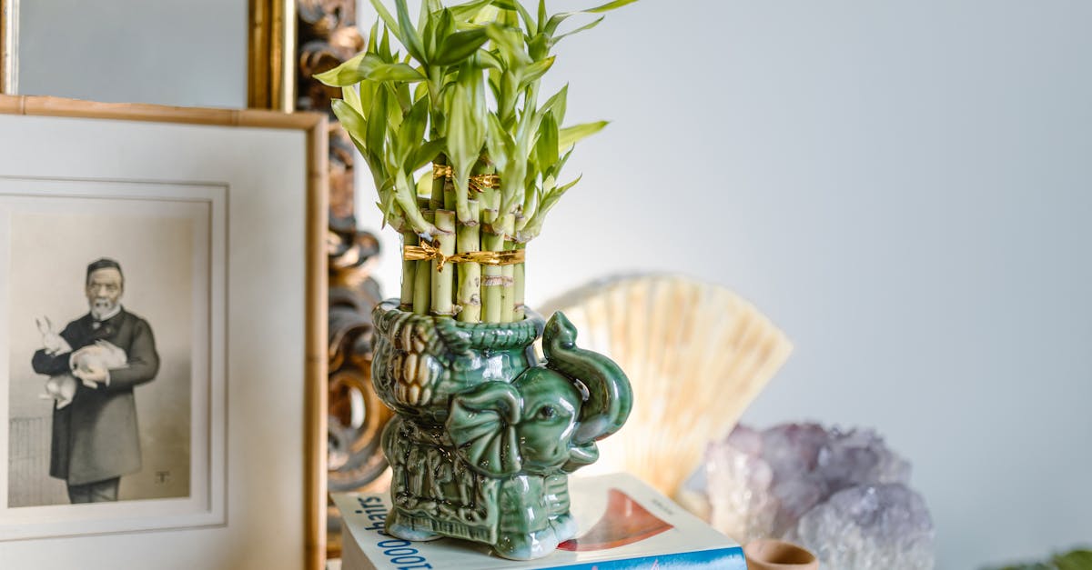 Stacked Book Displays