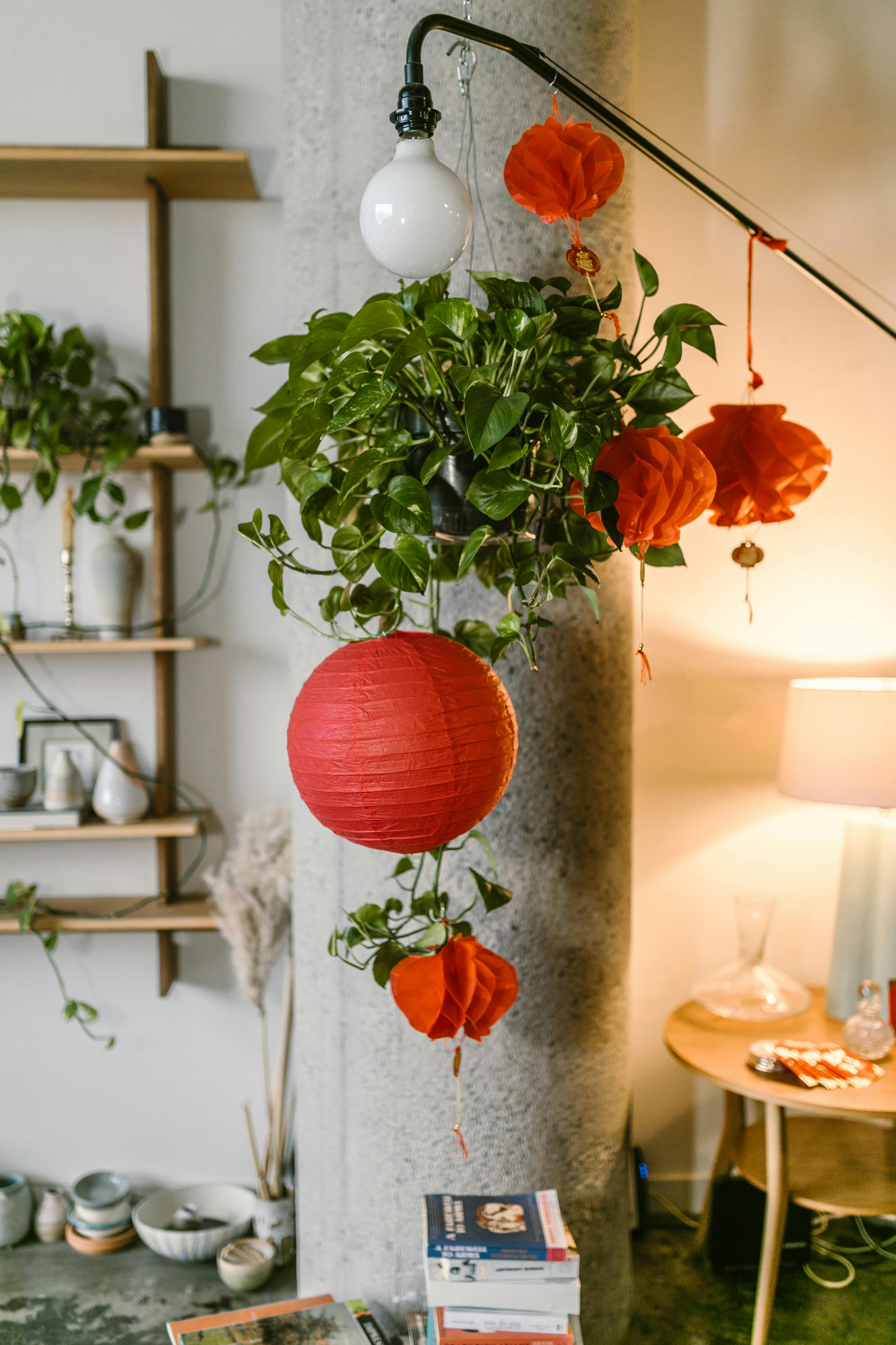 Charming indoor setting featuring hanging red lanterns, lush plants, and warm lighting.