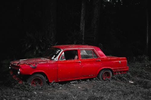 Old car with damaged bumper and broken window on grassy ground in forest