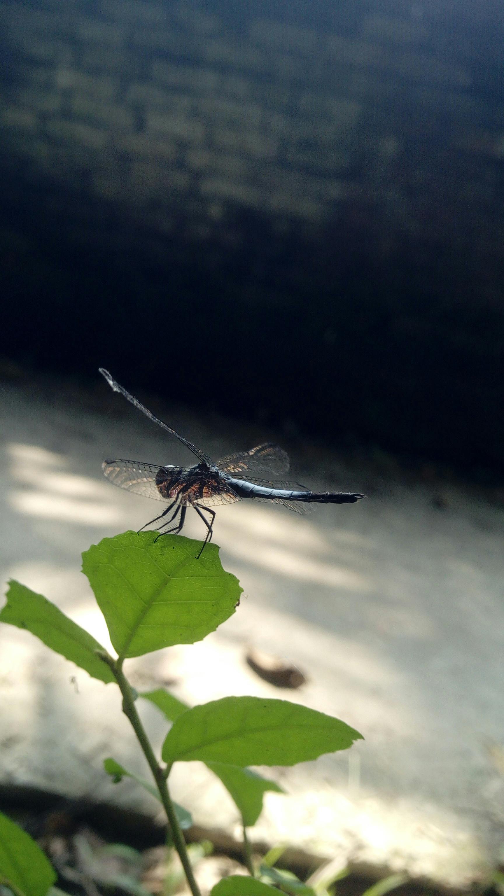 코스피 코스닥 차트와 경제 뉴스 화면
