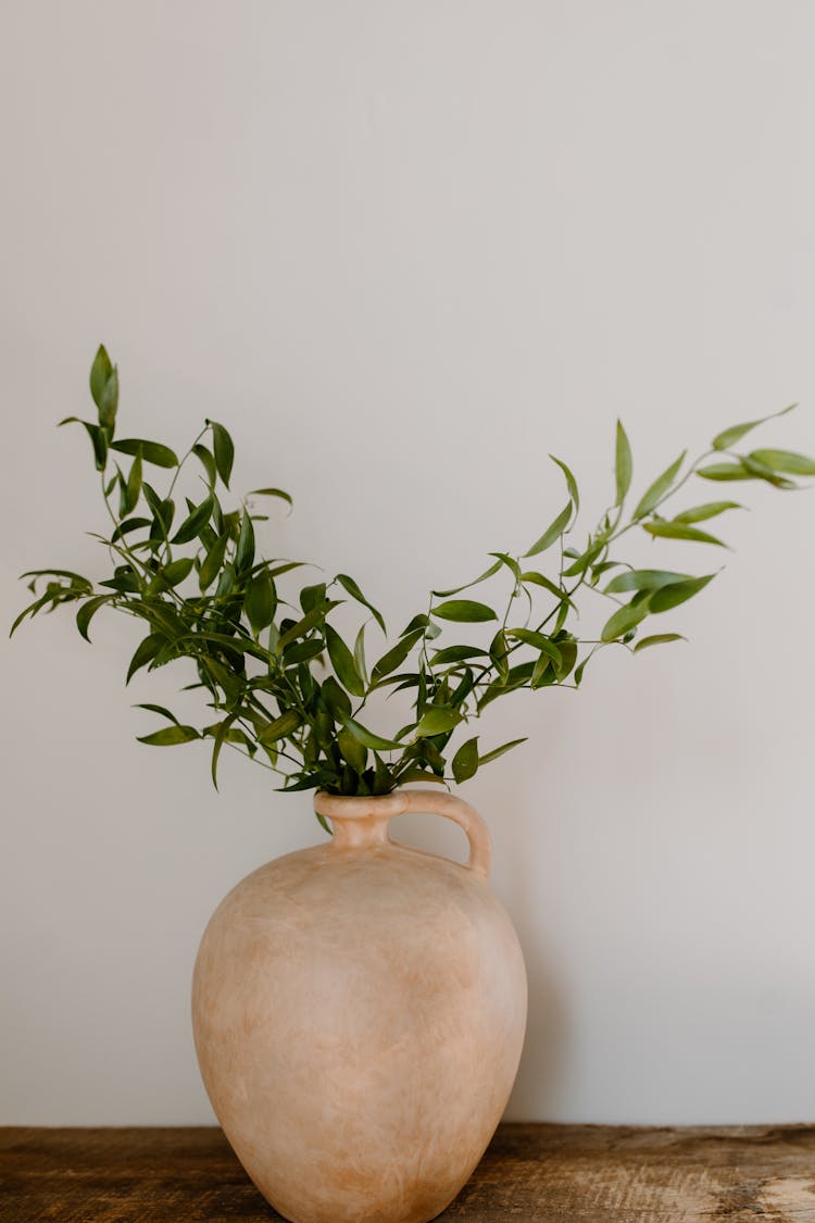 Green Plant In Beige Clay Jar