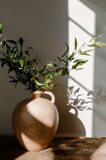 Simple clay vase with green leaves casting shadows in sunlight.