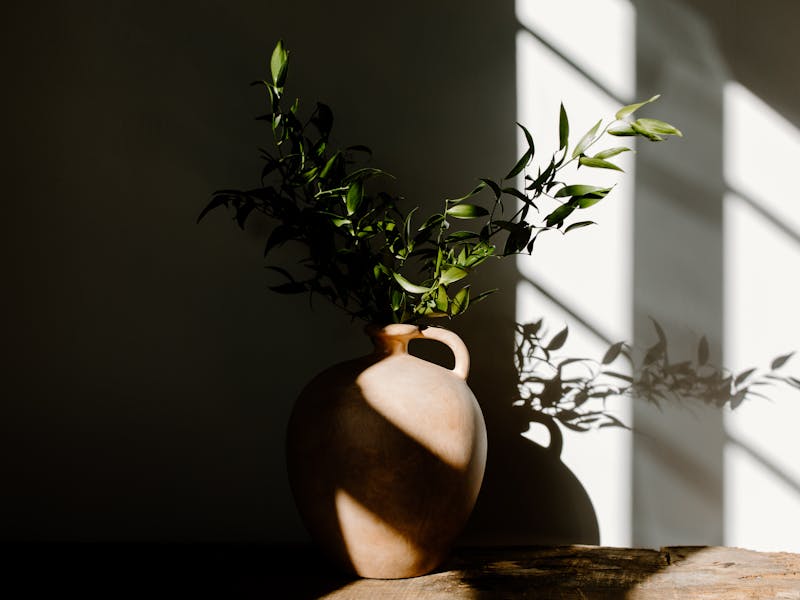 pexels-photo-6692145 H&M HOME 2025 : 20 Nouveautés Déco qui Boostent Votre Intérieur