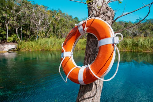Fotobanka s bezplatnými fotkami na tému kmeň stromu, lano, oranžový plavák