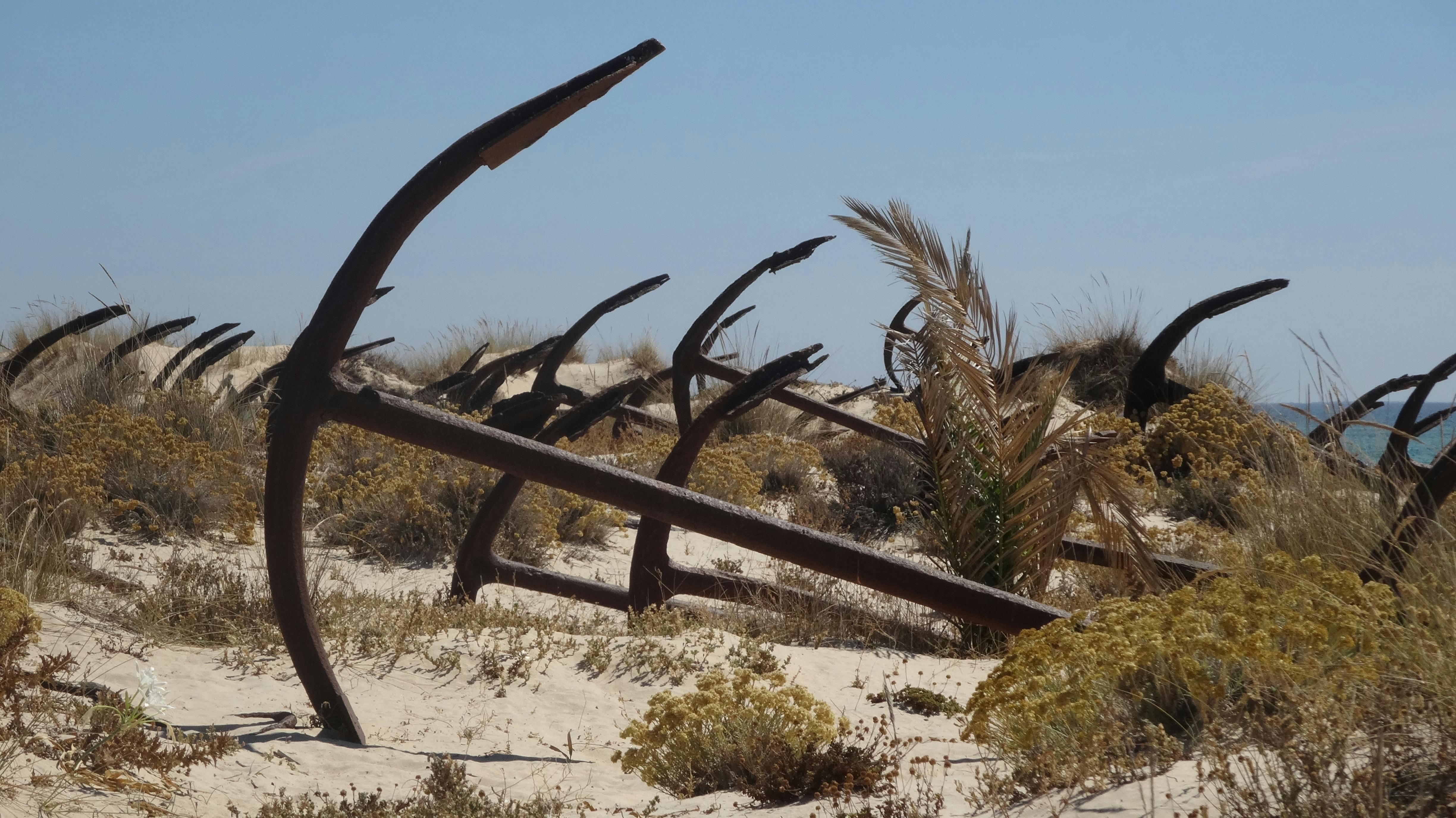 Free stock photo of anchor, cemetery, portugal