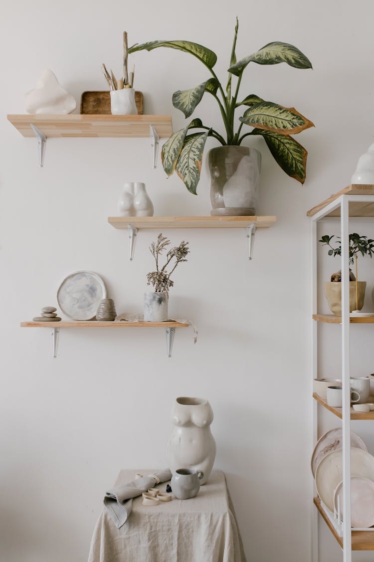 Potted Plant And Ornaments On Wooden Shelves On A White Wall