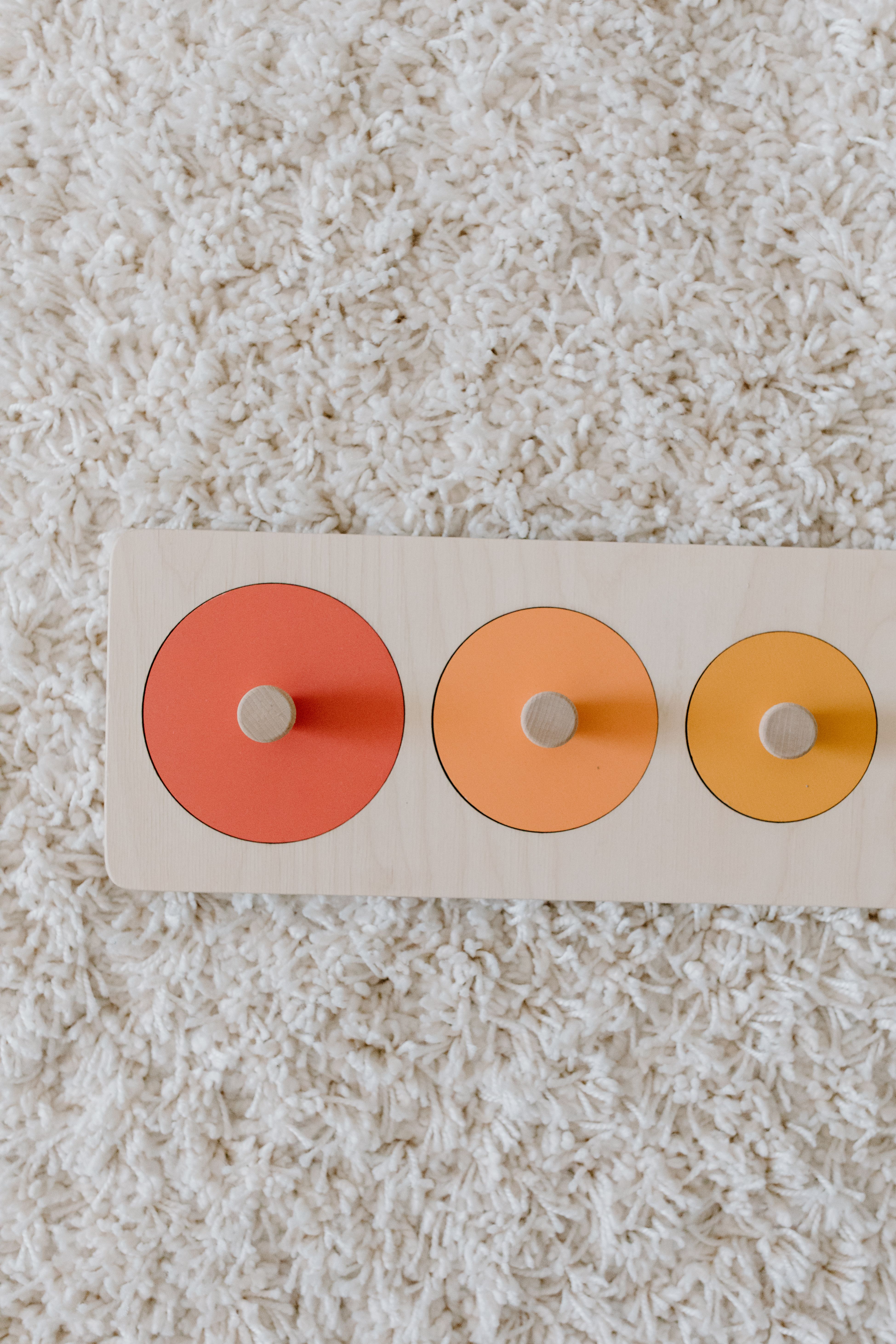 Wooden educational shape puzzle with colorful circular pieces arranged on a light carpet