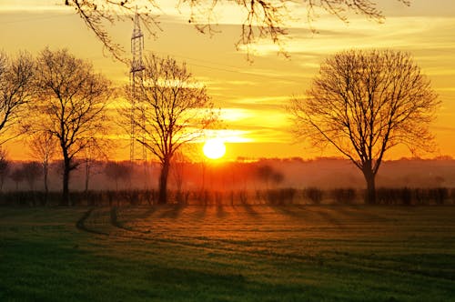 Gratis stockfoto met bomen, electrische bedrading, elektrische toren