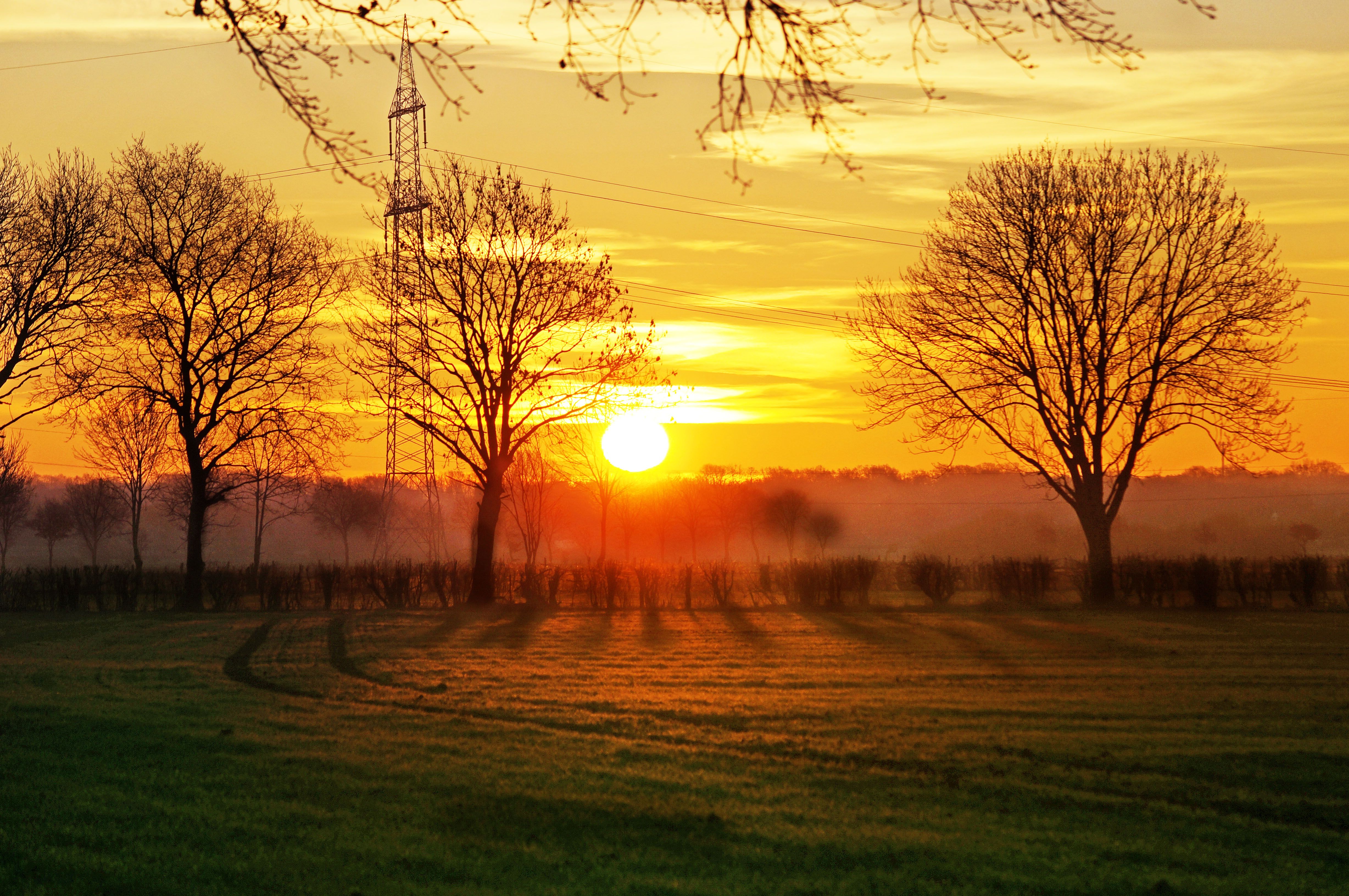 Green Trees on Green Field During Sunset · Free Stock Photo
