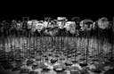 AIA Design Excellence Award