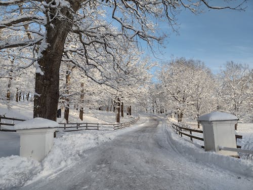 Kostnadsfri bild av kall, landsbygden, snö