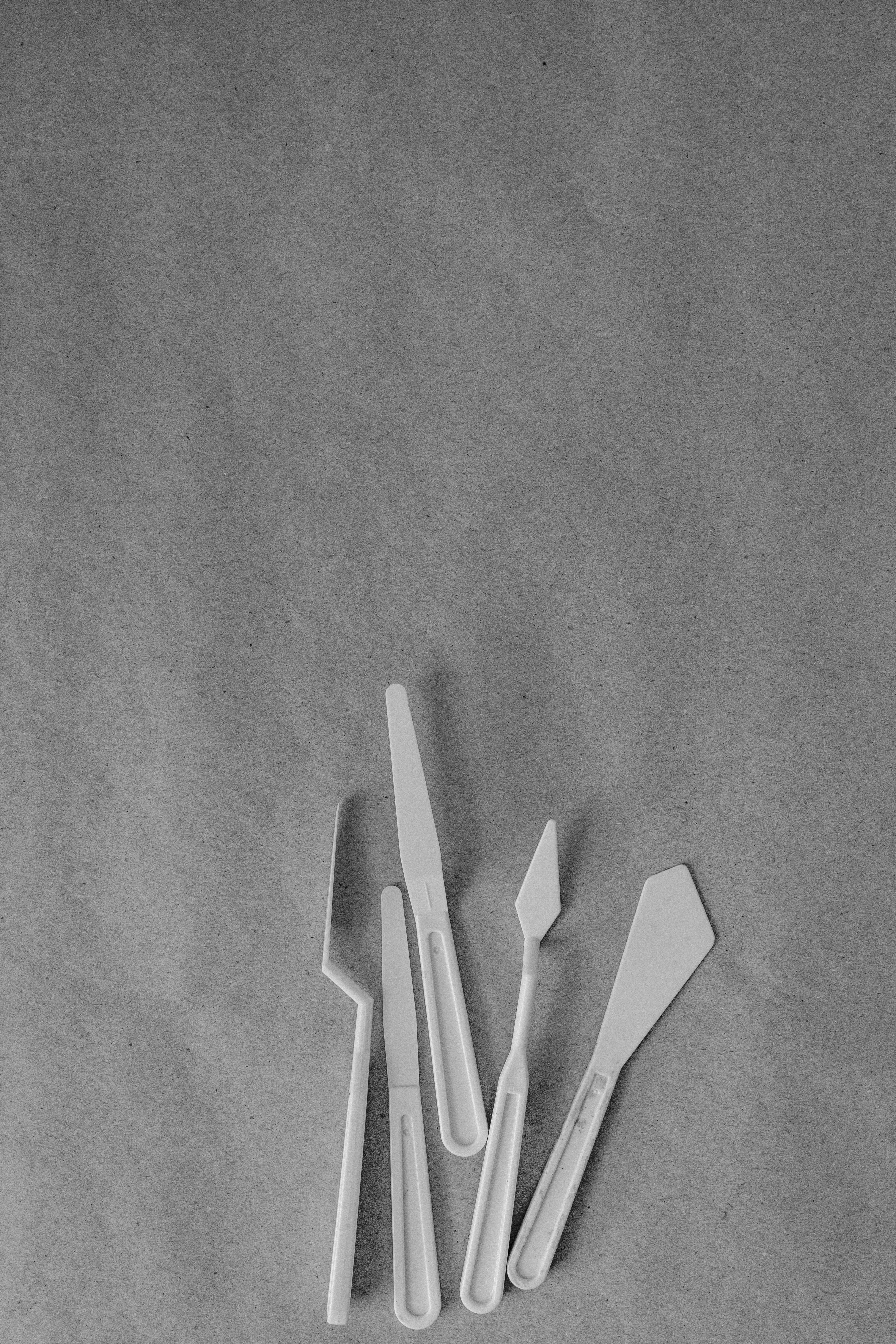 Photo by Tara Winstead