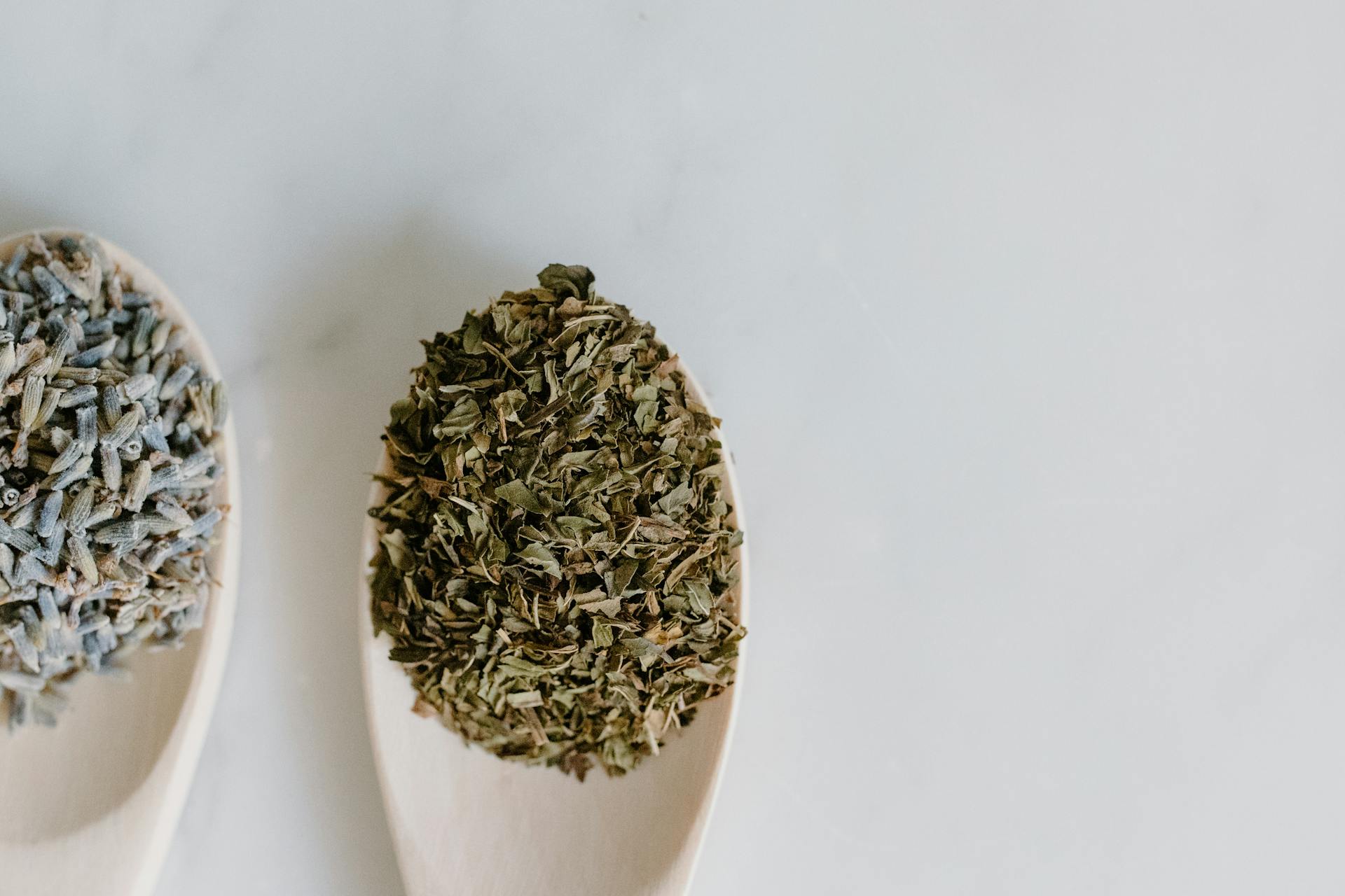 Dried Leaves on White Plate