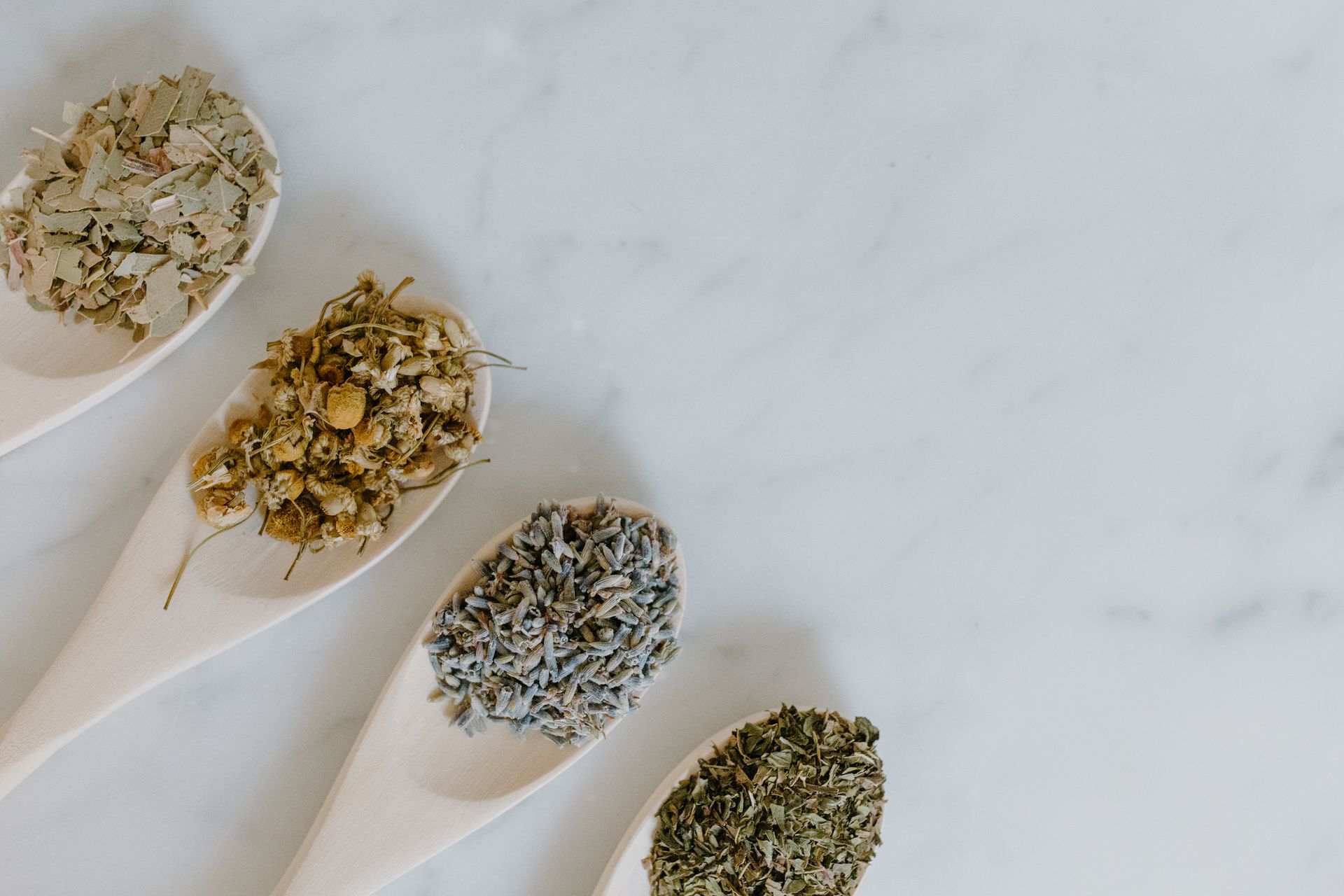 Assorted Herbs on Wooden Spoons