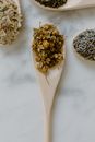 Free stock photo of ambrosia, anti anxiety medication, aroma