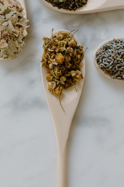 Harnessing the Power of Herbal Allies for Anxiety Relief