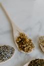 Free stock photo of ambrosia, anti anxiety medication, aroma