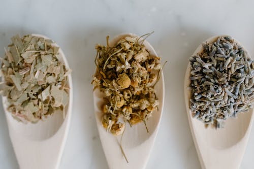 Free Close-Up Shot of Herbal Medicines on Wooden Spoons Stock Photo