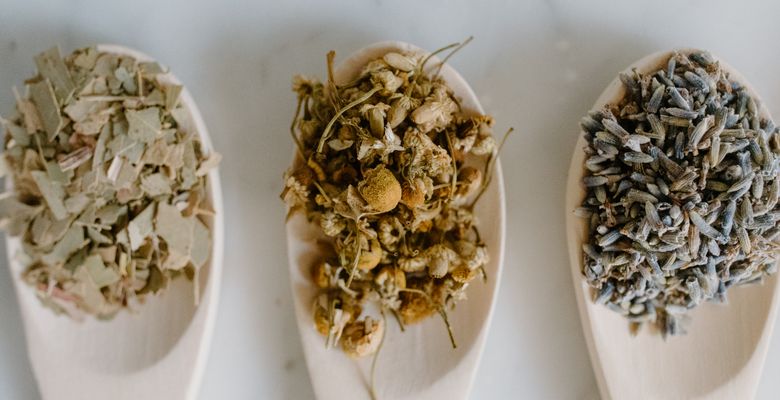 marshmallow root tea throat lung herbal wellness