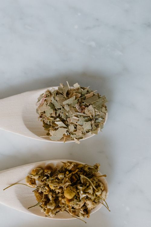 Free Top view of dried herbal leaves and flowers in wooden spoons, ideal for alternative medicine concepts. Stock Photo