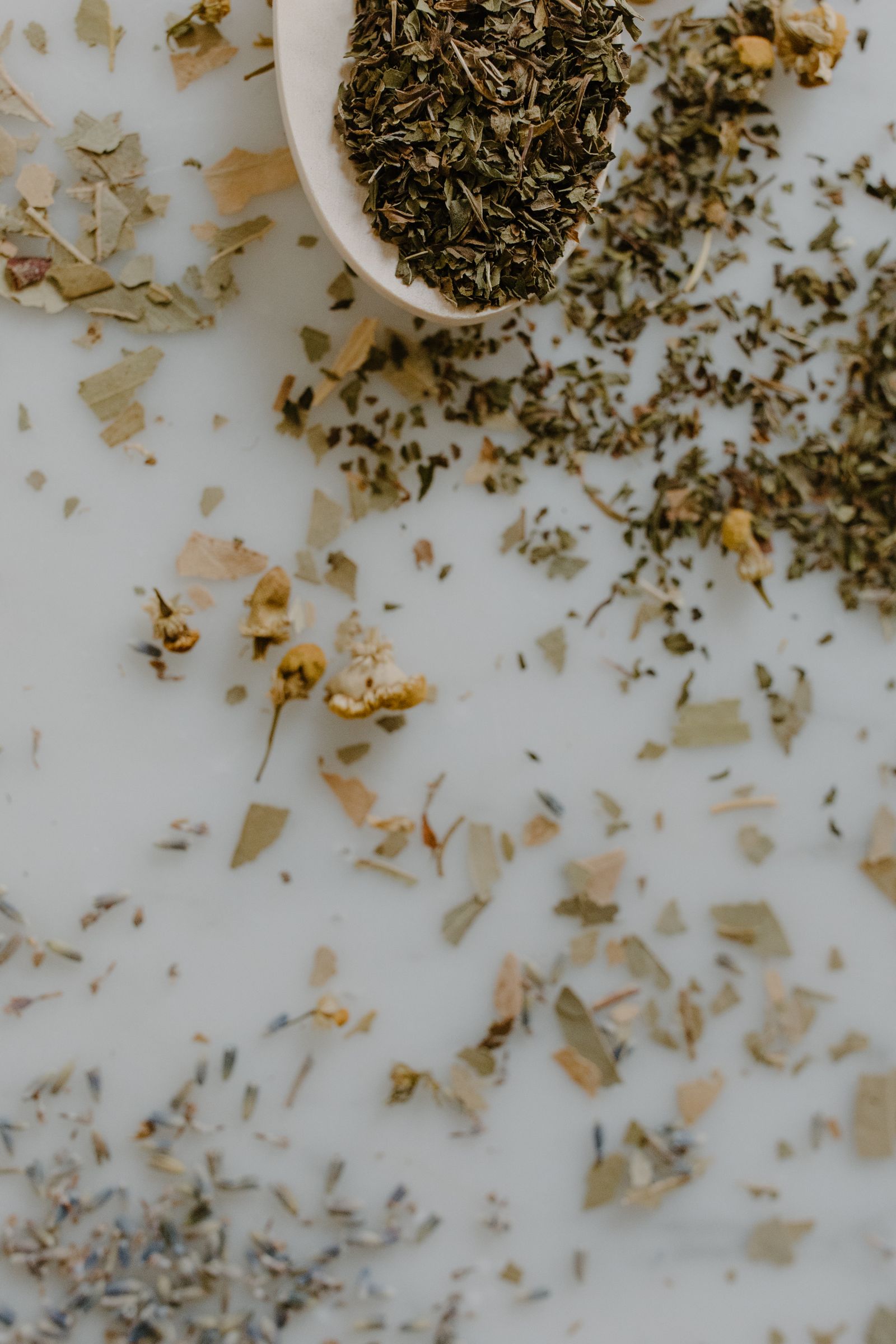 Seed Oils: What Human Studies Show