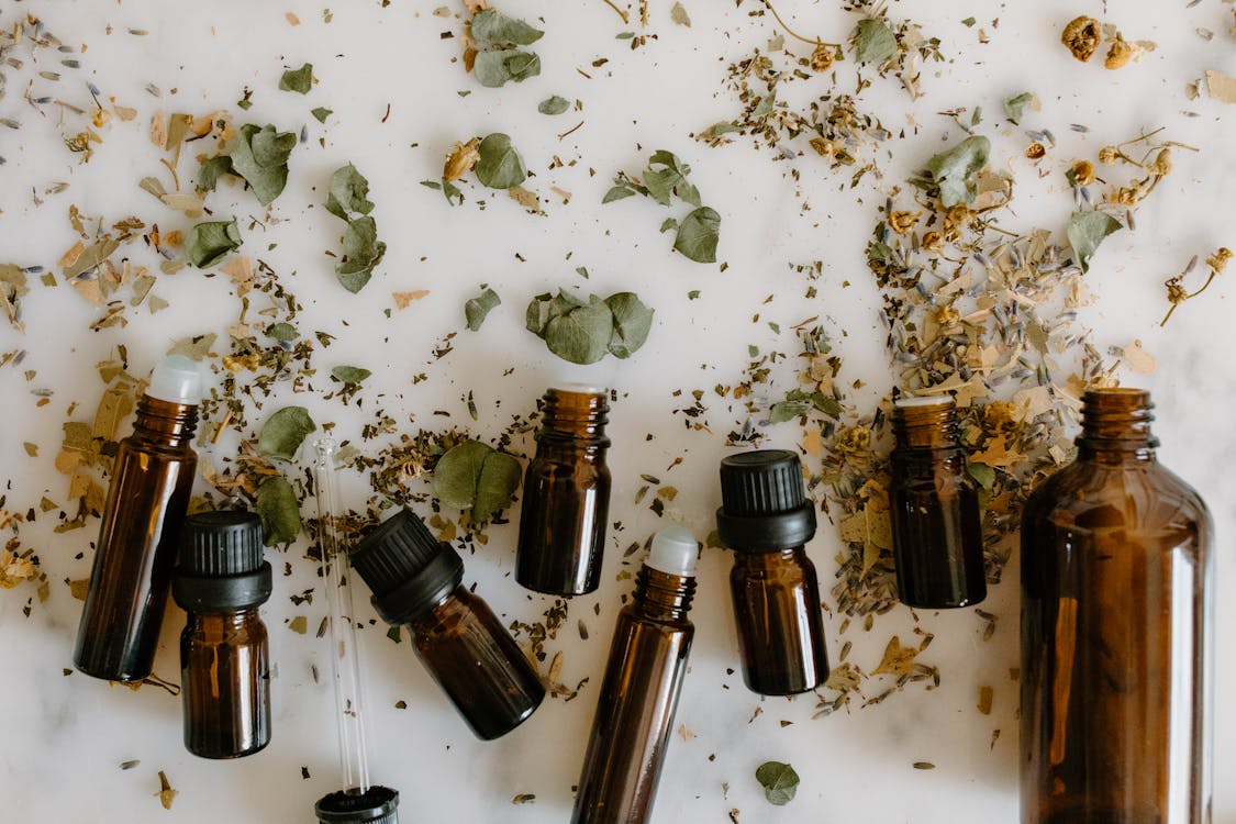 Free stock photo of alternative medicine, alternative therapy, ambrosia Stock Photo
