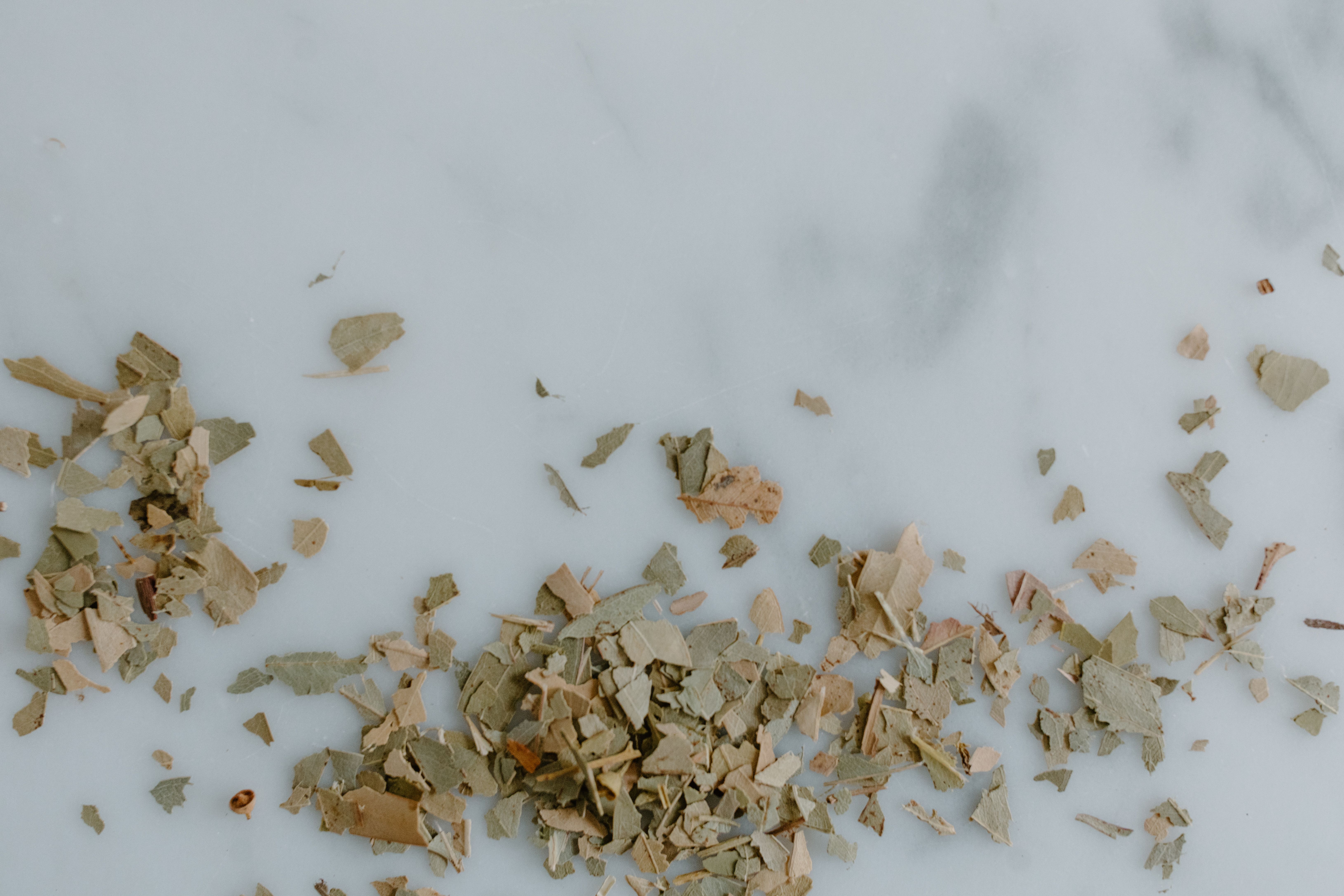 Buckthorn Bark  . Frangula alnus Plant Profile