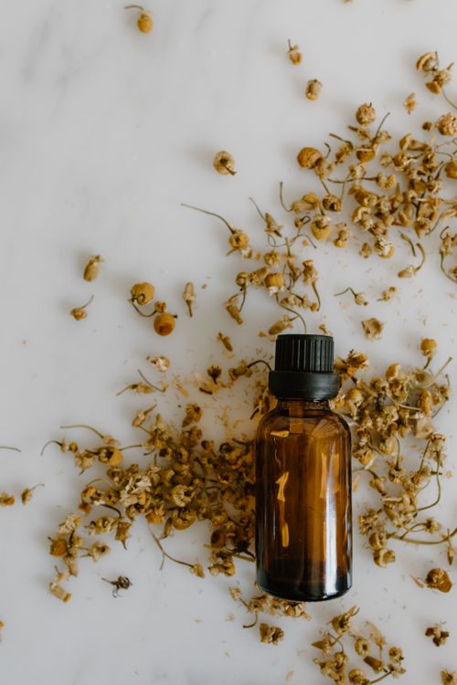 Free Flat lay of chamomile essential oil bottle surrounded by dried flowers on white backdrop. Stock Photo