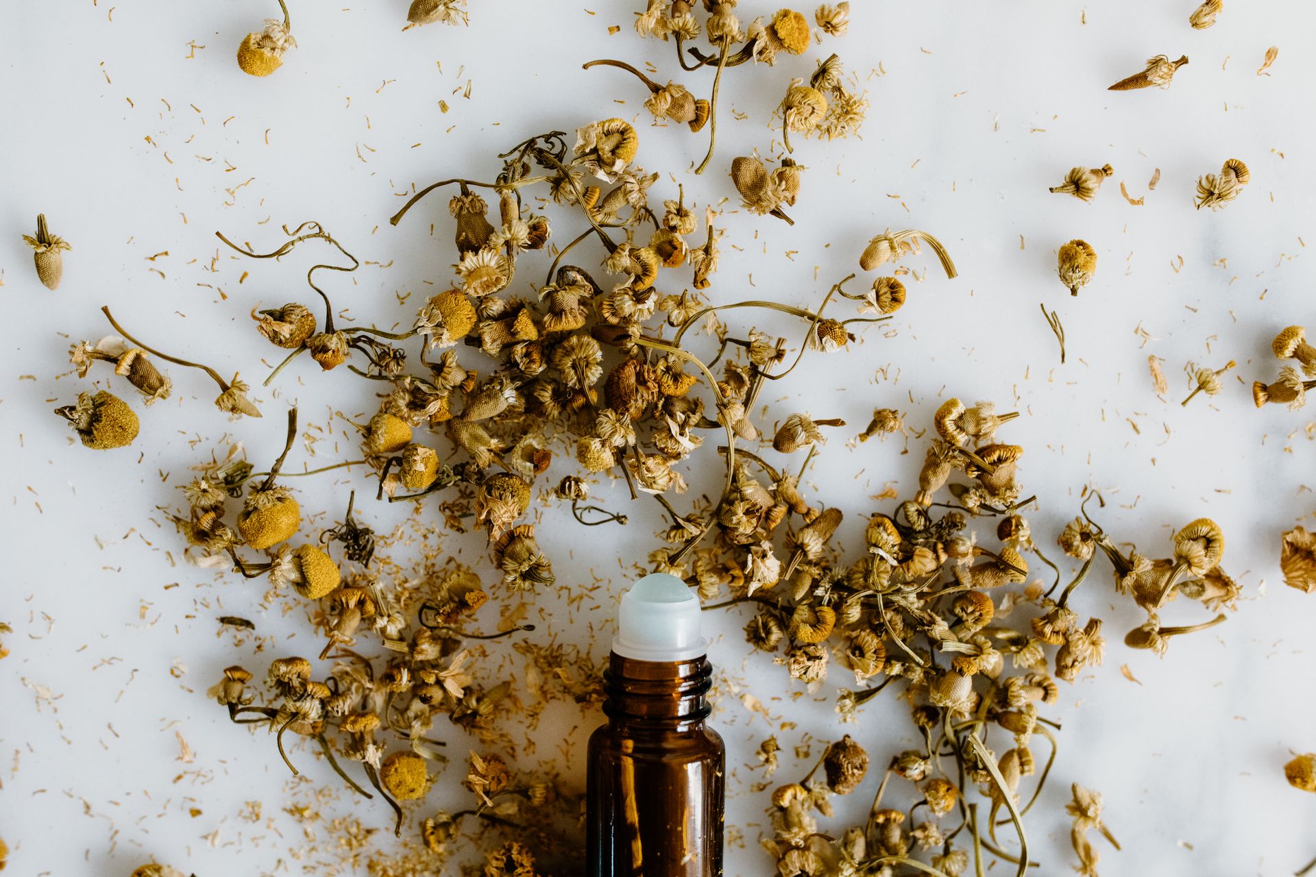 Free stock photo of alternative medicine, ambrosia, anti anxiety medication
