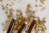 Free stock photo of abstract, alternative, ambrosia