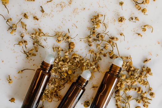 Free stock photo of abstract, alternative, ambrosia
