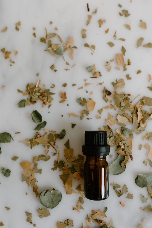 Free Top view of a bottle with dried eucalyptus leaves on a white background. Stock Photo