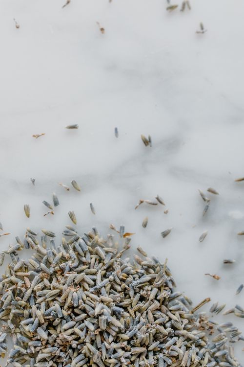 Free Top view of dried lavender on a marble surface, ideal for aromatherapy and natural wellness themes. Stock Photo