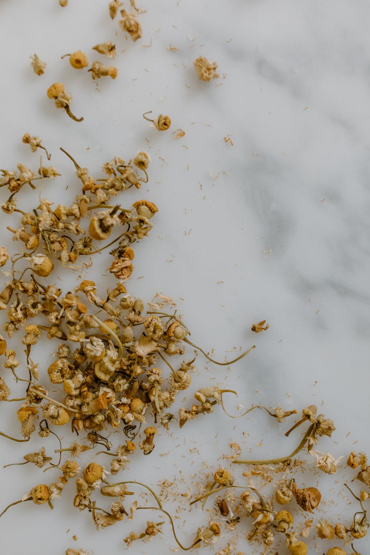 Dried Chamomile On White Surface