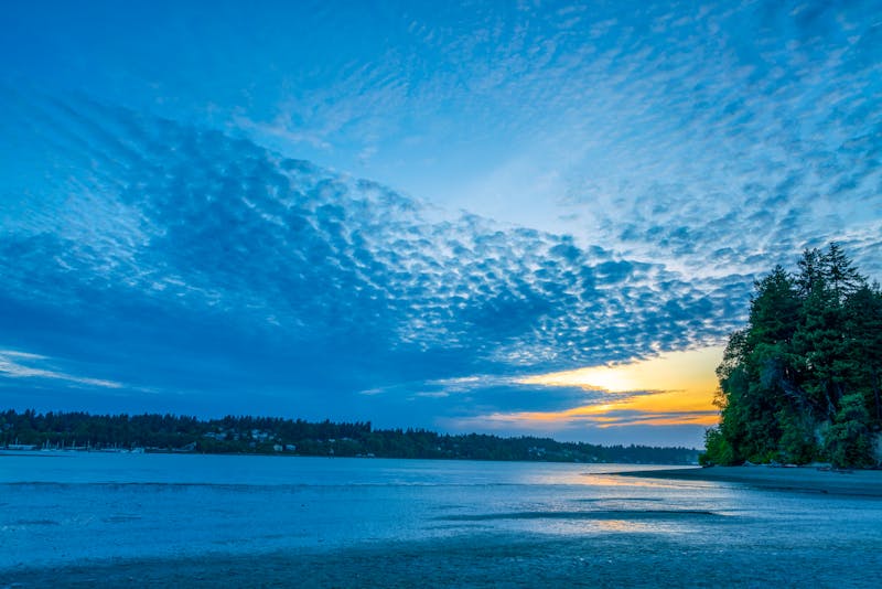 Profissional analisando gráficos financeiros