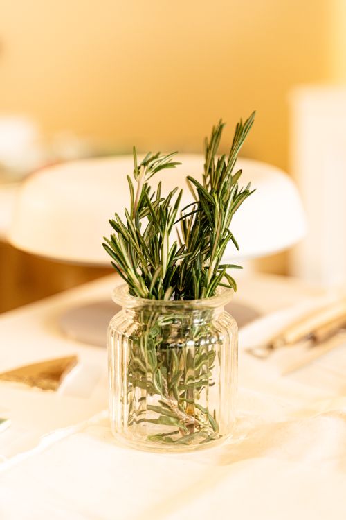 Free Close-up of fresh rosemary sprigs in a glass jar on a table, perfect for culinary use. Stock Photo