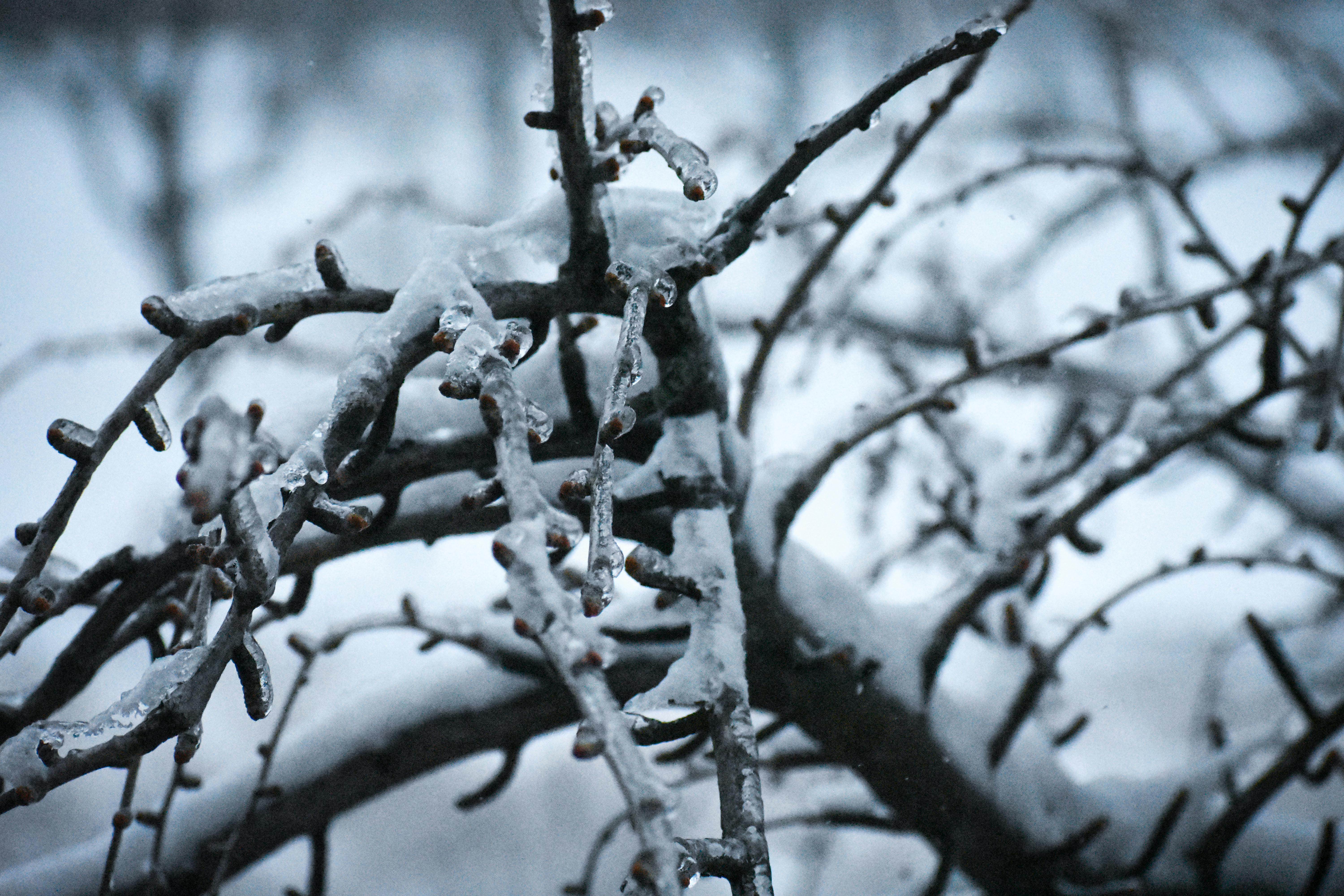 Trader analyzing technical chart