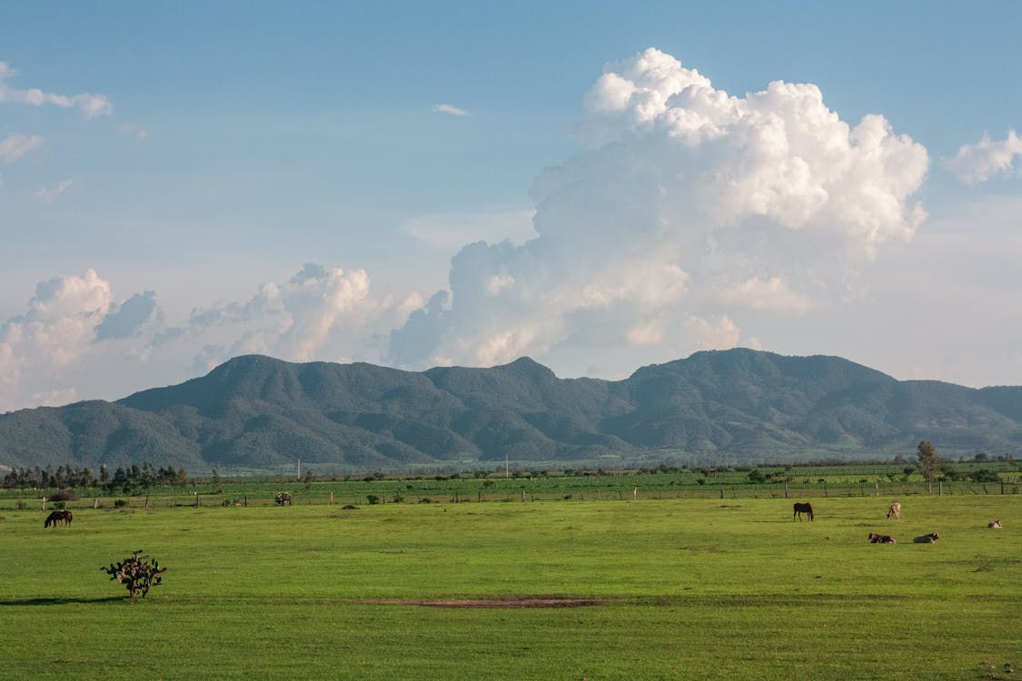 Green Grass Field Near Mountain Under White Clouds