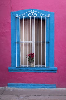 Colorful wall with a blue framed window and a decorative metal grill. A plant sits inside.