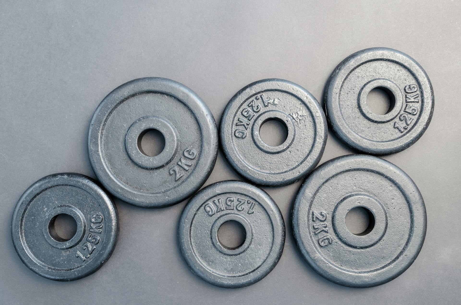 Six Assorted Weight Plates