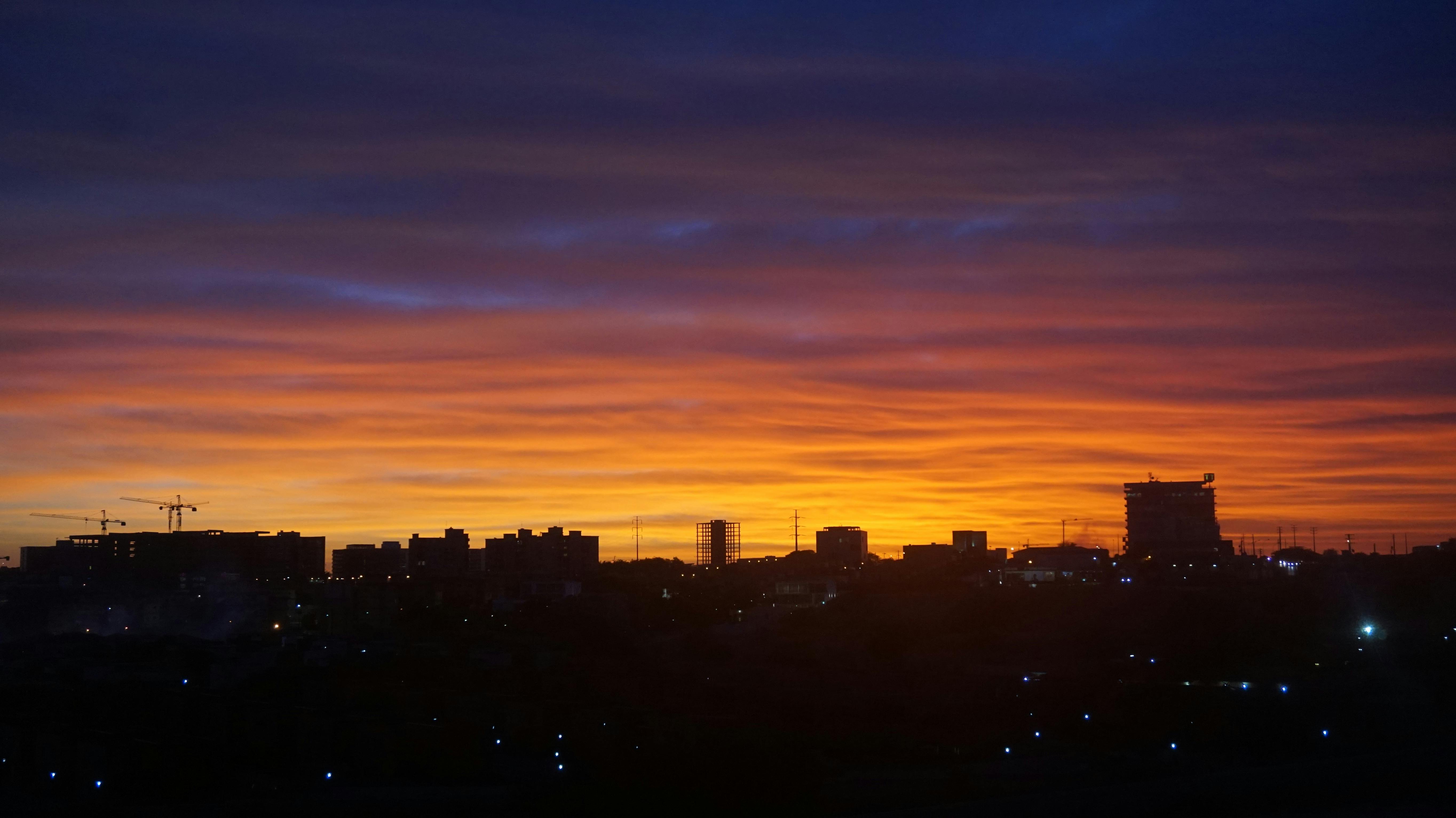Person preparing vegetables and using a tablet for health tracking