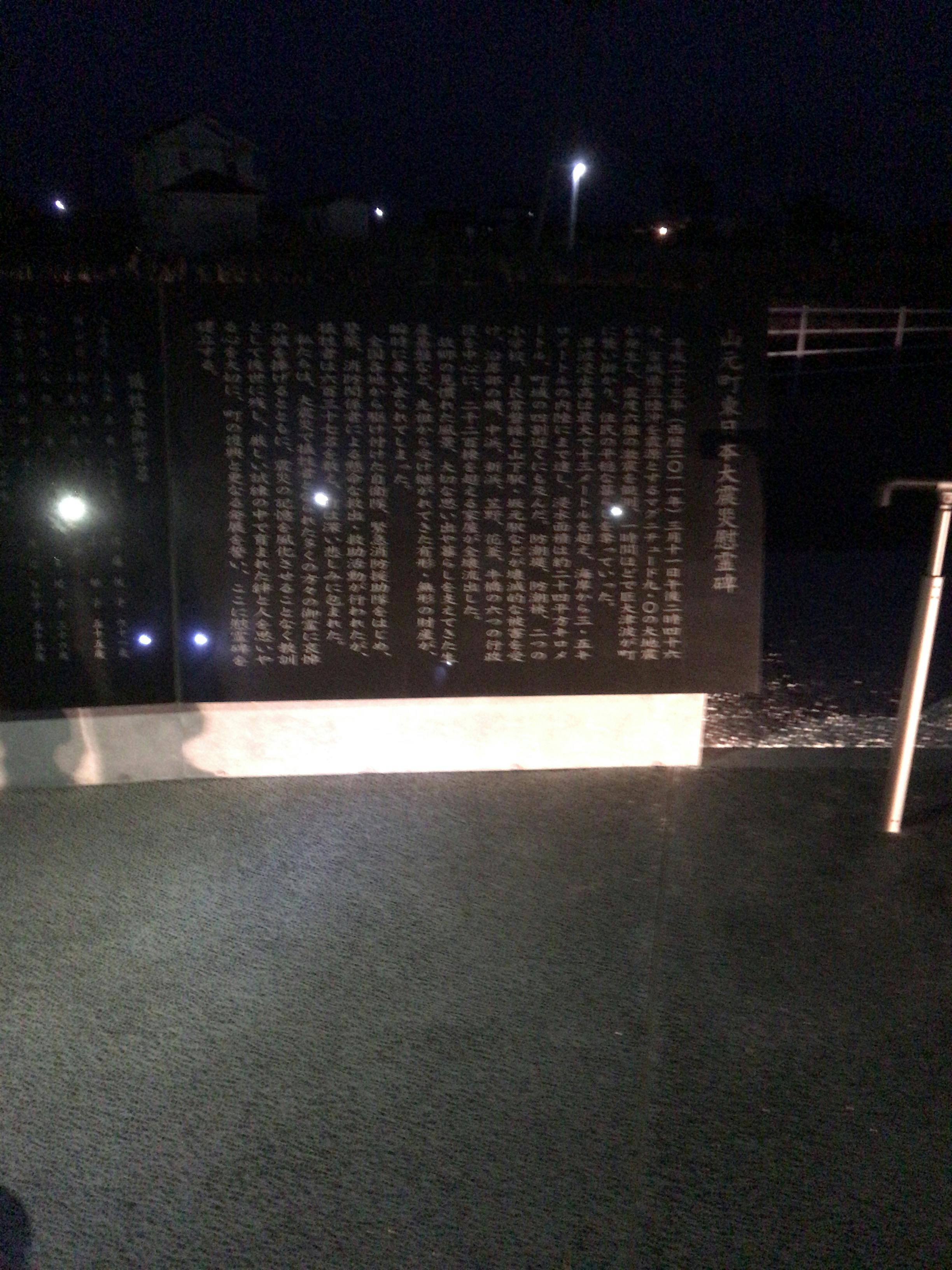 Person consulting with a healthcare professional, reviewing health information on a tablet