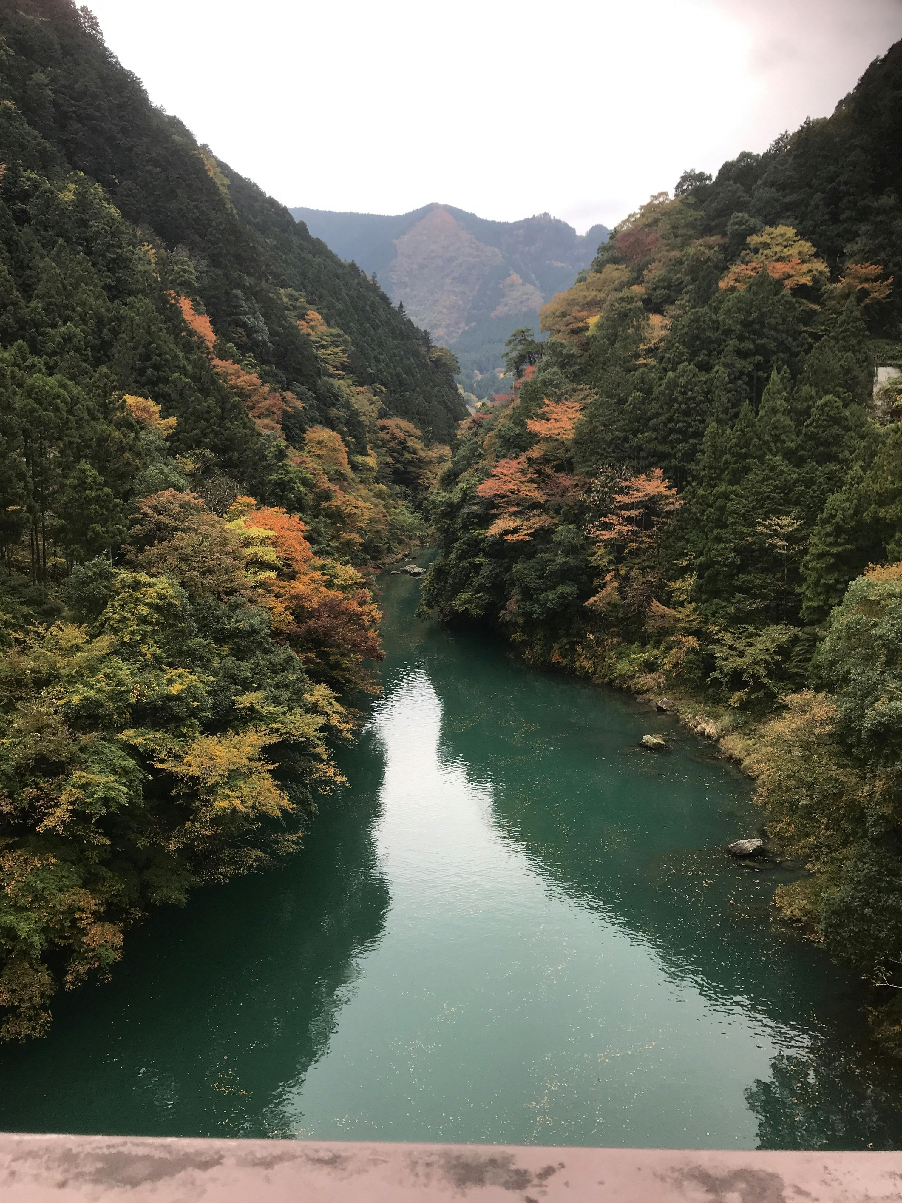 여성이 요가 매트 위에서 코어 운동을 하는 모습