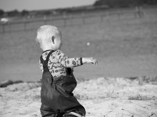 Foto profissional grátis de água, babyboy, litoral