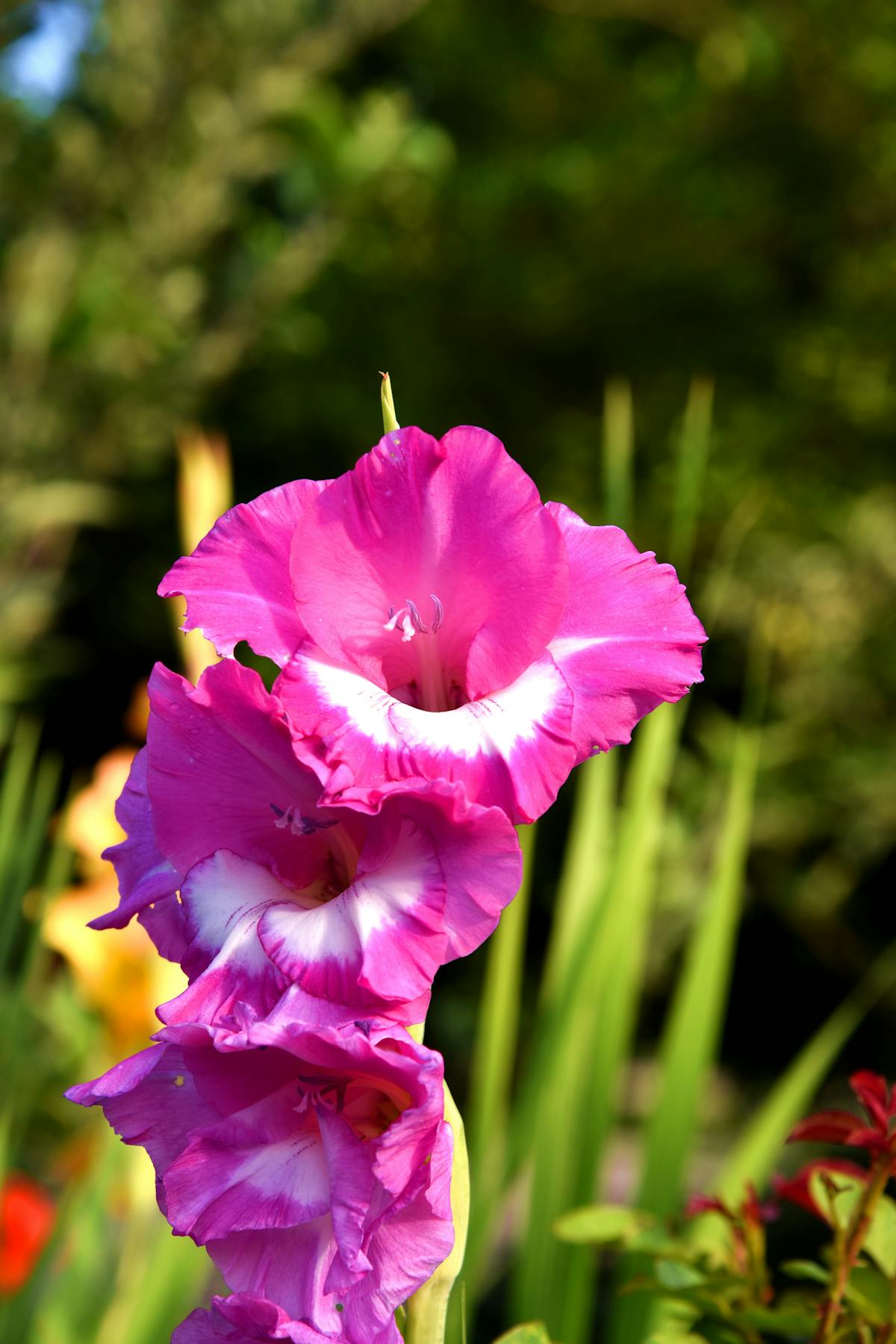 Student writing notes in a notebook with a timer visible on a phone