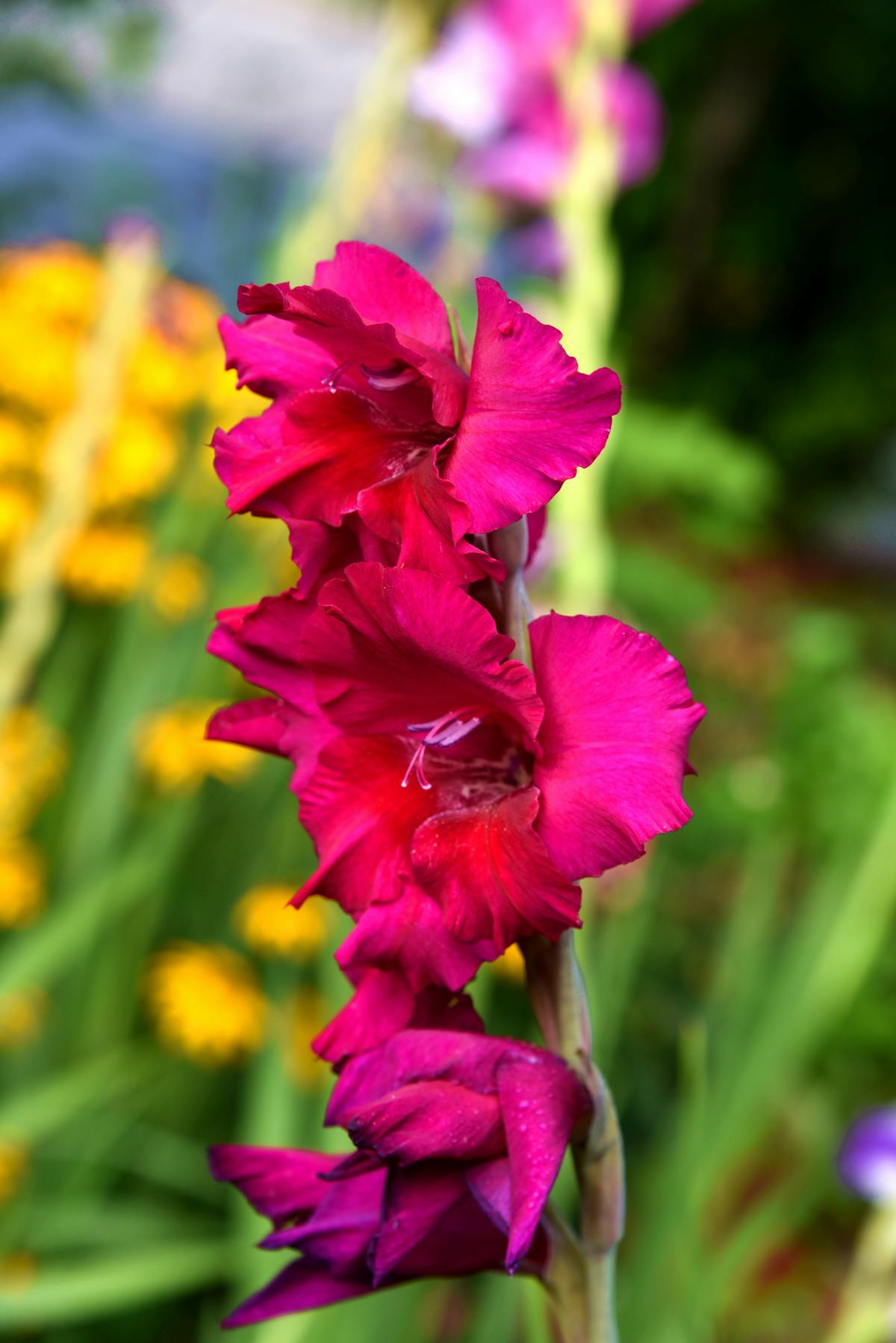 Accounting and project finance