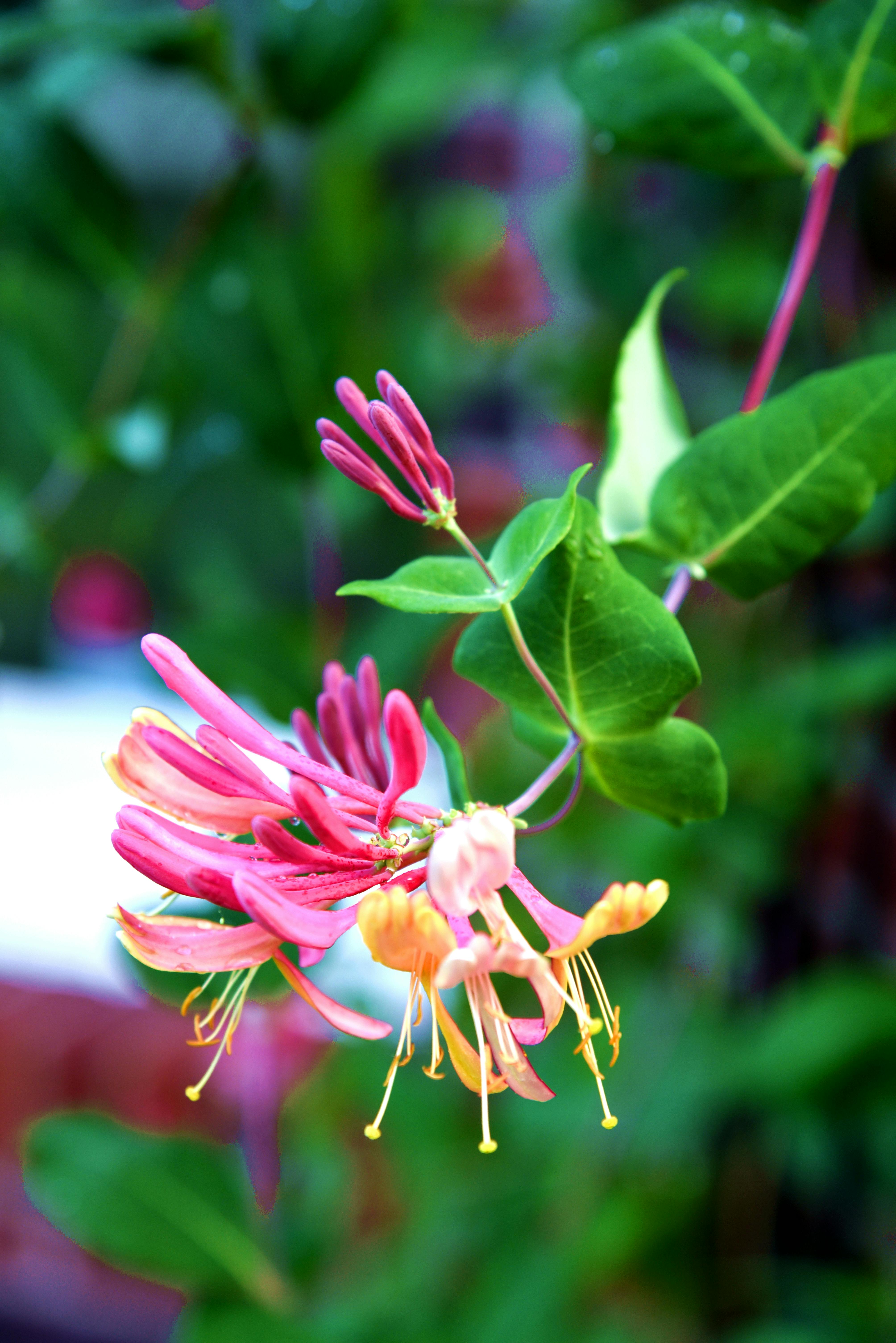 AI动态定价系统优化2025年跨境电商全球价格策略