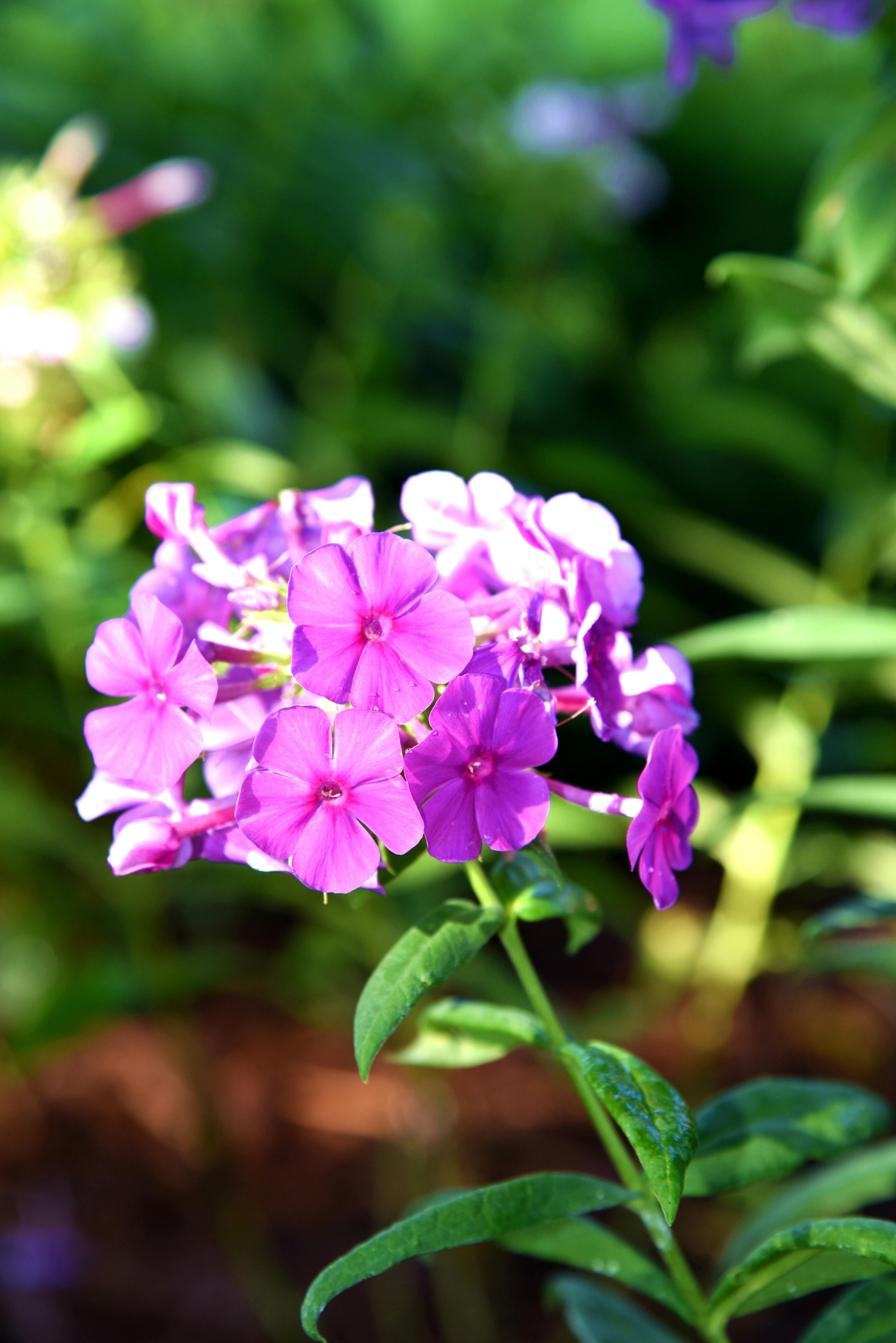 AI ethics and fairness in global governance future